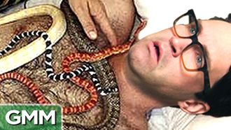 Episode 36 Weirdest Animal Jobs (GAME)