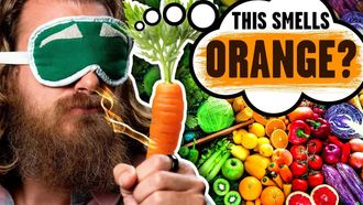 Episode 24 Can You Smell Colors? (Test)