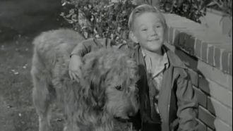 Episode 7 A Dog for Harold