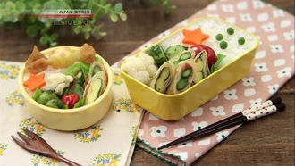 Episode 4 Hanami Bento & Fun Rolls