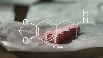 Episode 2 Synthetics