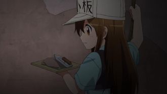 Episode 8 Blood Circulation