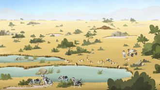 Episode 18 Wild Kratts: Cats & Dogs