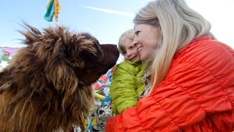 Episode 4 Leg 4: Barley Beer, Everest and Expiring Visas