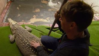 Episode 13 There's a Crocodile in My Bed