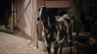 Episode 2 The Chicken and the Goat