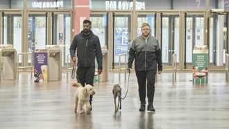 Episode 3 Crufts
