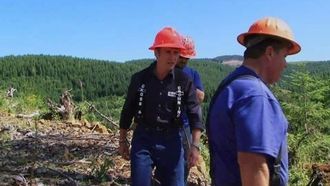Episode 2 Tree Harvester