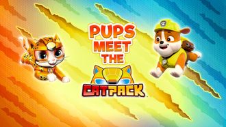 Episode 13 Mighty Pups Stop a Mighty Eel/Pups Save a Floating Royal Carriage