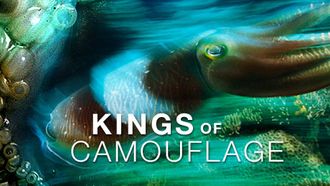 Episode 4 Kings of Camouflage