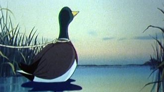Episode 18 The lake disappears