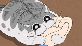 Episode 21 Night 21: My Cat Bit Me