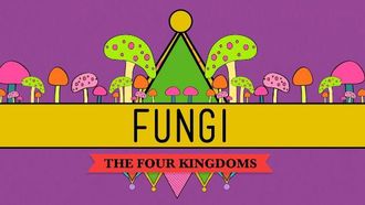 Episode 39 Fungi