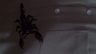 Episode 10 Chango