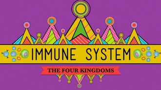 Episode 32 Immune System