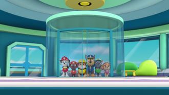 Episode 33 Pups Save a Monkey-naut