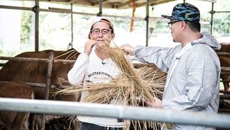 Episode 463 Farming Activity for Fall + Three Things You'd Take to a Deserted Island (1)