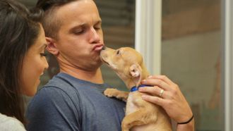 Episode 3 A Playful Pup