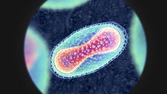 Episode 2 Smallpox