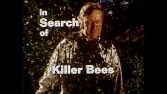Episode 6 Killer Bees
