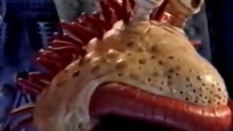 Episode 35 Alien Home Alone