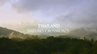 Episode 5 Thailand - Nature's Crossroads