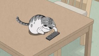 Episode 3 Night 3: A Cat That Tends to Drop Things
