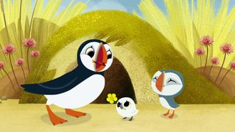 Episode 8 The Puffin Way
