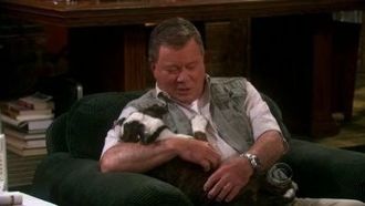 Episode 7 Dog Ed Pursuit