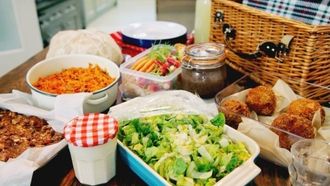 Episode 15 Picnic Day
