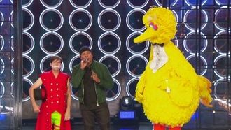 Episode 8 Big Bird vs. Jason Schwartzman