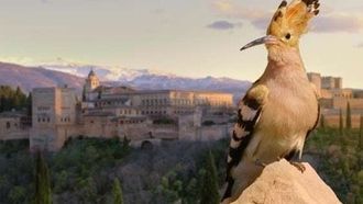 Episode 4 Alhambra: The Oasis in the Desert