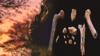 Episode 1 Search for the First Human