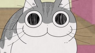 Episode 30 Night 30: The Cat Is Staring at Something