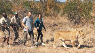 Episode 5 King of the Jungle