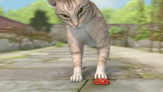 Episode 43 The Tale of the Squeaky Toy