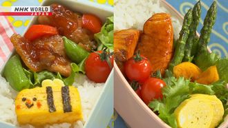 Episode 17 Salmon Teriyaki Bento & Apricot Butter Chicken Bento