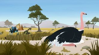 Episode 14 Adapto the Coyote