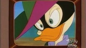 Episode 61 The Quiverwing Quack