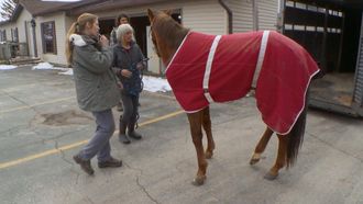 Episode 12 A Plague on Both Your Horses