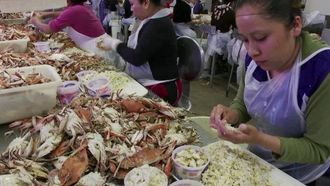 Episode 7 Baltimore and Chesapeake Bay