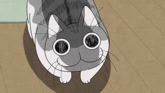 Episode 15 Night 15: Red Light, Green Light with Cats