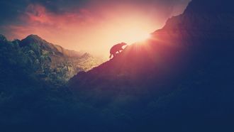 Episode 19 Rise of the Mammals