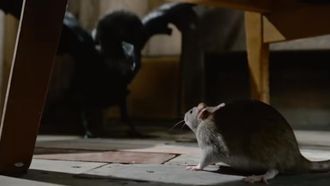 Episode 6 Florida