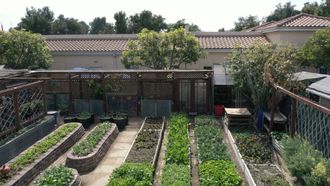 Episode 4 Backyard Crop
