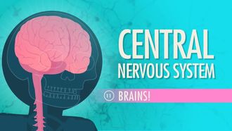 Episode 11 Central Nervous System
