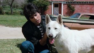 Episode 26 K-9-1