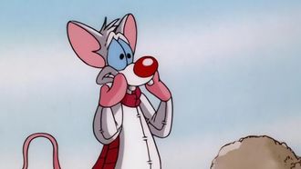 Episode 37 The Megalomaniacal Adventures of Brainie The Poo