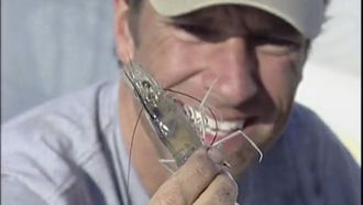 Episode 10 Shrimper