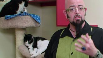 Episode 17 Where Are They Meow?